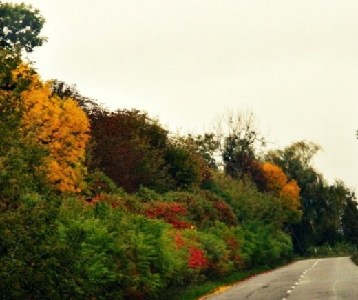 Теплі історії про ДИВА, КОХАНИХ і РІДНИХ